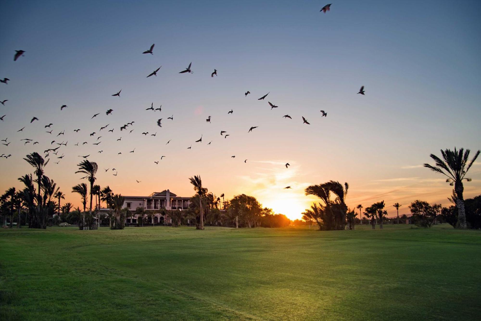 Pickalbatros Hotel Du Golf - Adults Friendly 16 Years Plus- All-Inclusive Marrakesh Exterior foto